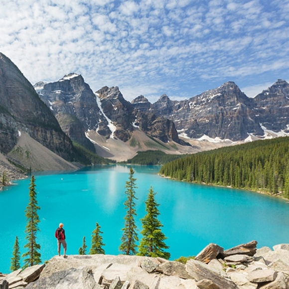 Meet your Posher, Rhizzy - Picture 1 of 1